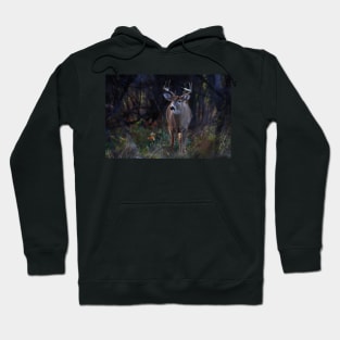 White-tailed Deer Hoodie